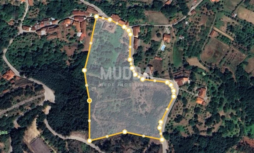 Quinta T10 para Venda em Campo de Besteiros Foto 28