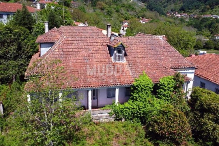 Quinta T10 para Venda em Campo de Besteiros Foto 15