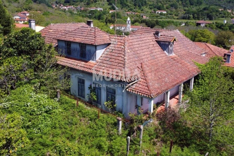 Quinta T10 para Venda em Campo de Besteiros Foto 17