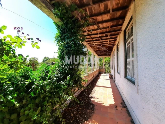 Quinta T10 para Venda em Campo de Besteiros Foto 26