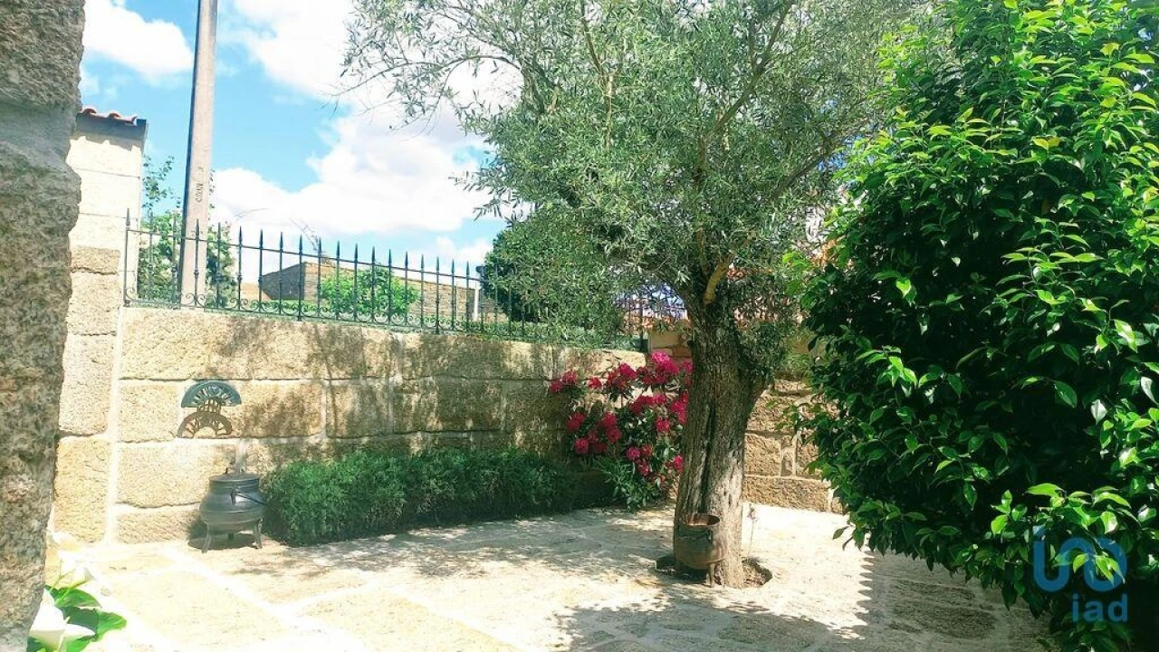 Moradia T3 para Venda em São Lourenço de Ribapinhão Foto 6