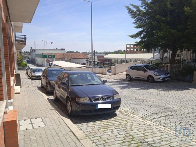 Loja para Venda em Nelas Foto 14