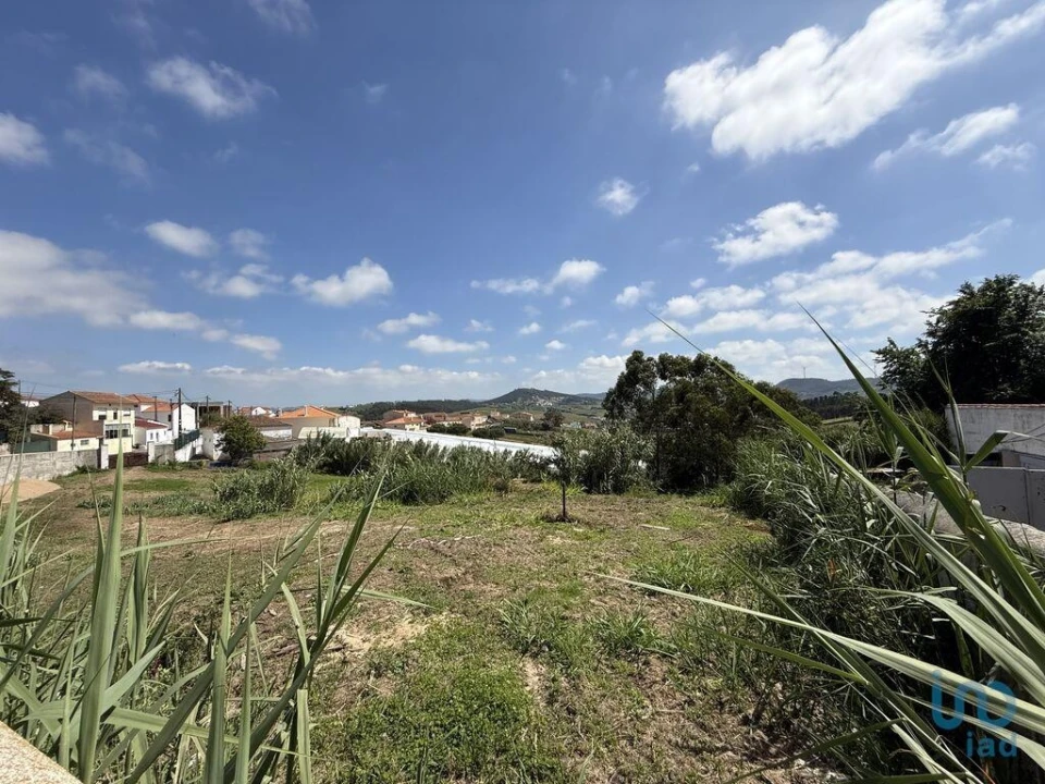 Terreno para Venda em Ventosa Foto 3