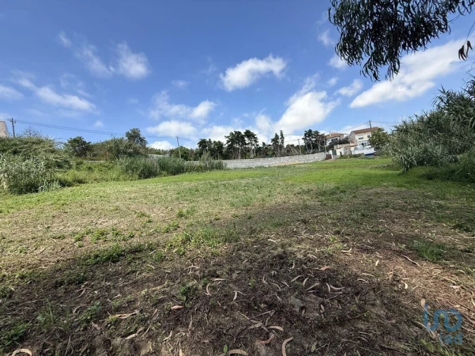 Terreno para Venda em Ventosa Foto 9