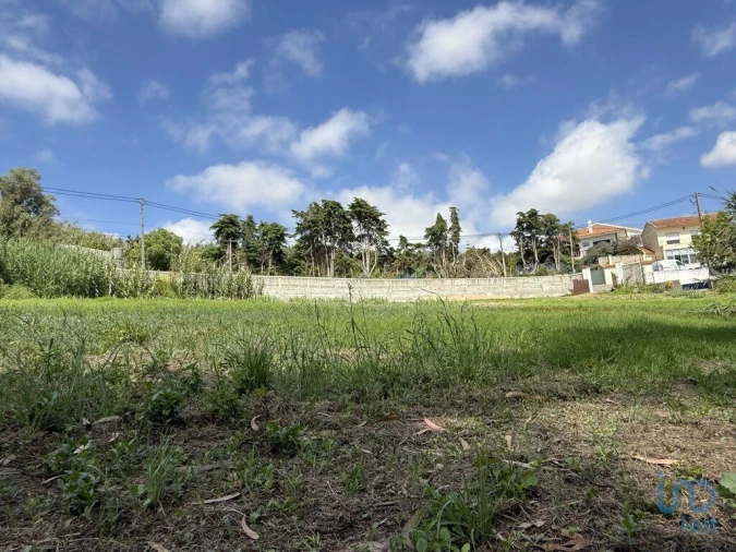 Terreno para Venda em Ventosa Foto 7