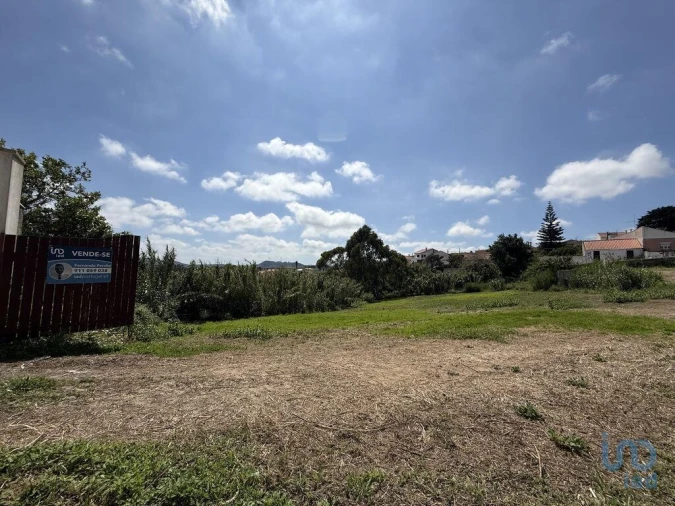 Terreno para Venda em Ventosa Foto 11