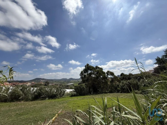 Terreno para Venda em Ventosa Foto 10