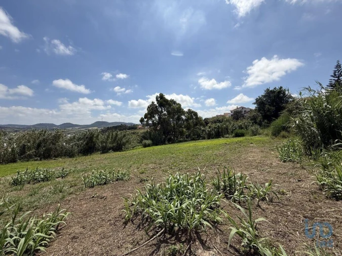 Terreno para Venda em Ventosa Foto 14