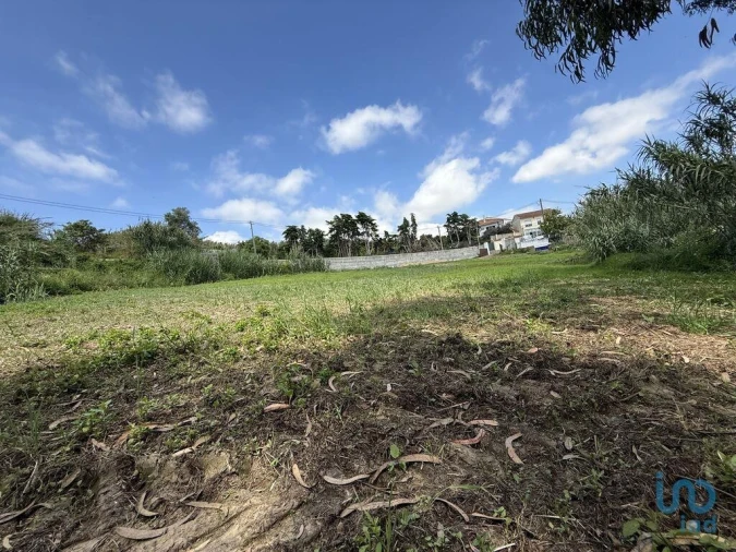 Terreno para Venda em Ventosa Foto 8