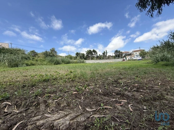 Terreno para Venda em Ventosa Foto 13