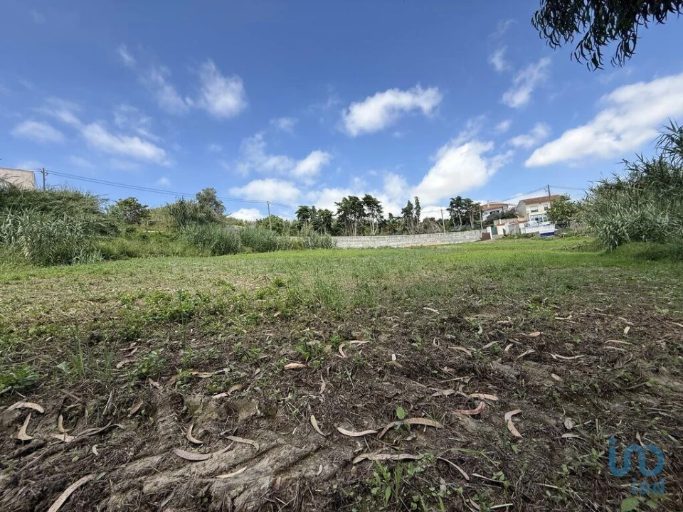 Terreno para Venda em Ventosa Foto 13
