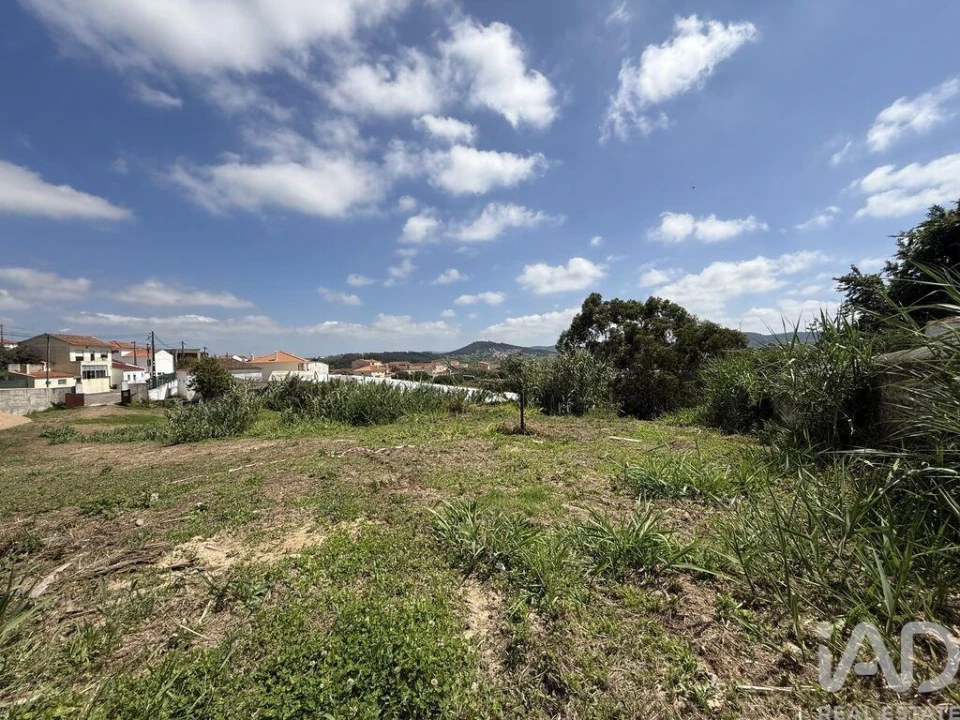 Terreno para Venda em Ventosa Foto 15