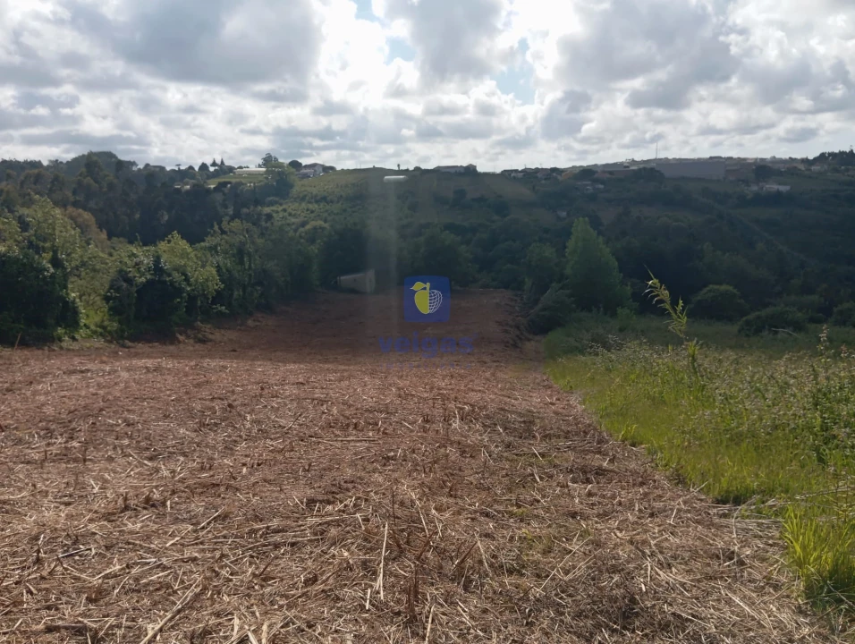 Terreno para Venda em Carvalhal Foto 2