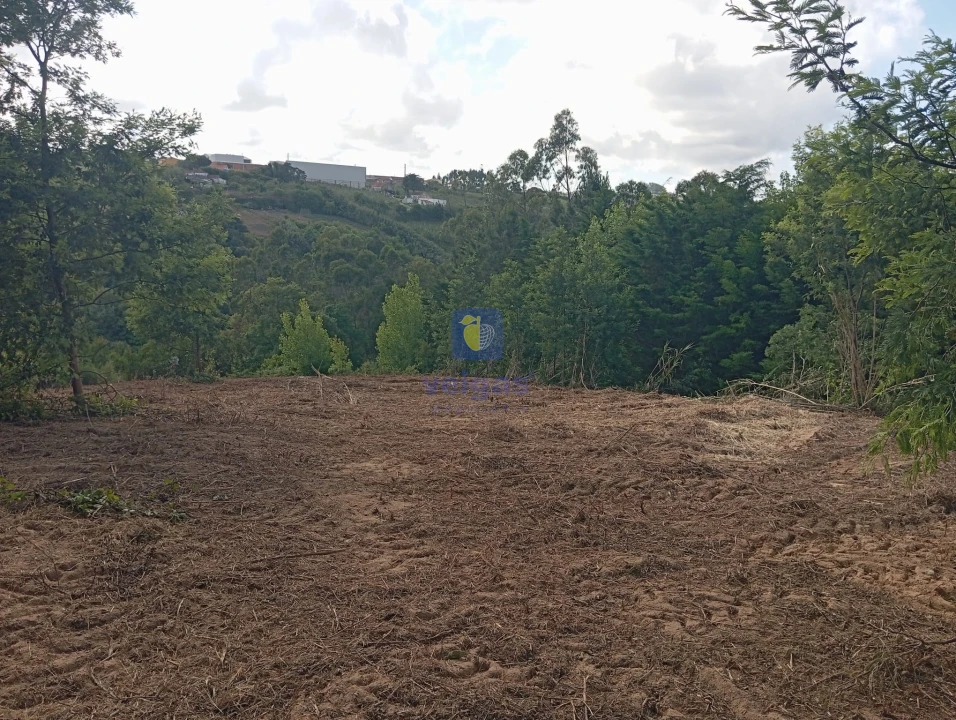 Terreno para Venda em Carvalhal Foto 5