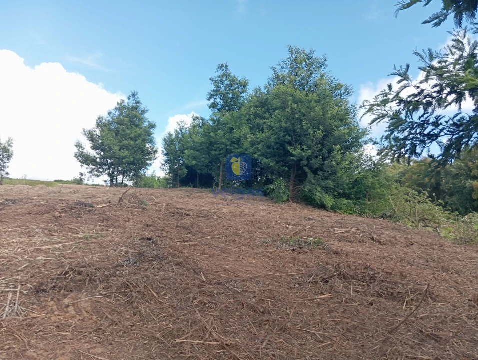 Terreno para Venda em Carvalhal Foto 4