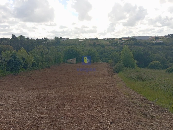 Terreno para Venda em Carvalhal Foto 7