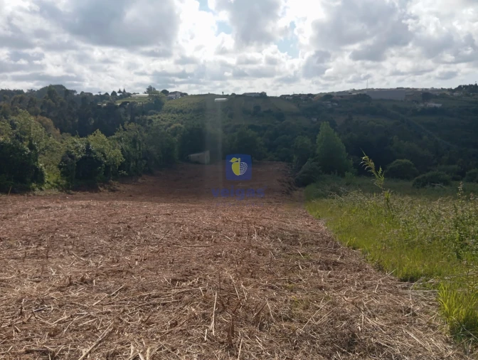 Terreno para Venda em Carvalhal Foto 2