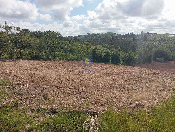 Terreno para Venda em Carvalhal