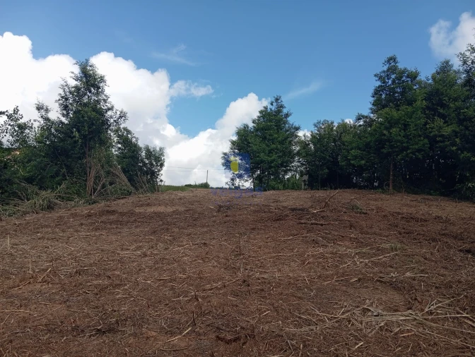 Terreno para Venda em Carvalhal Foto 6