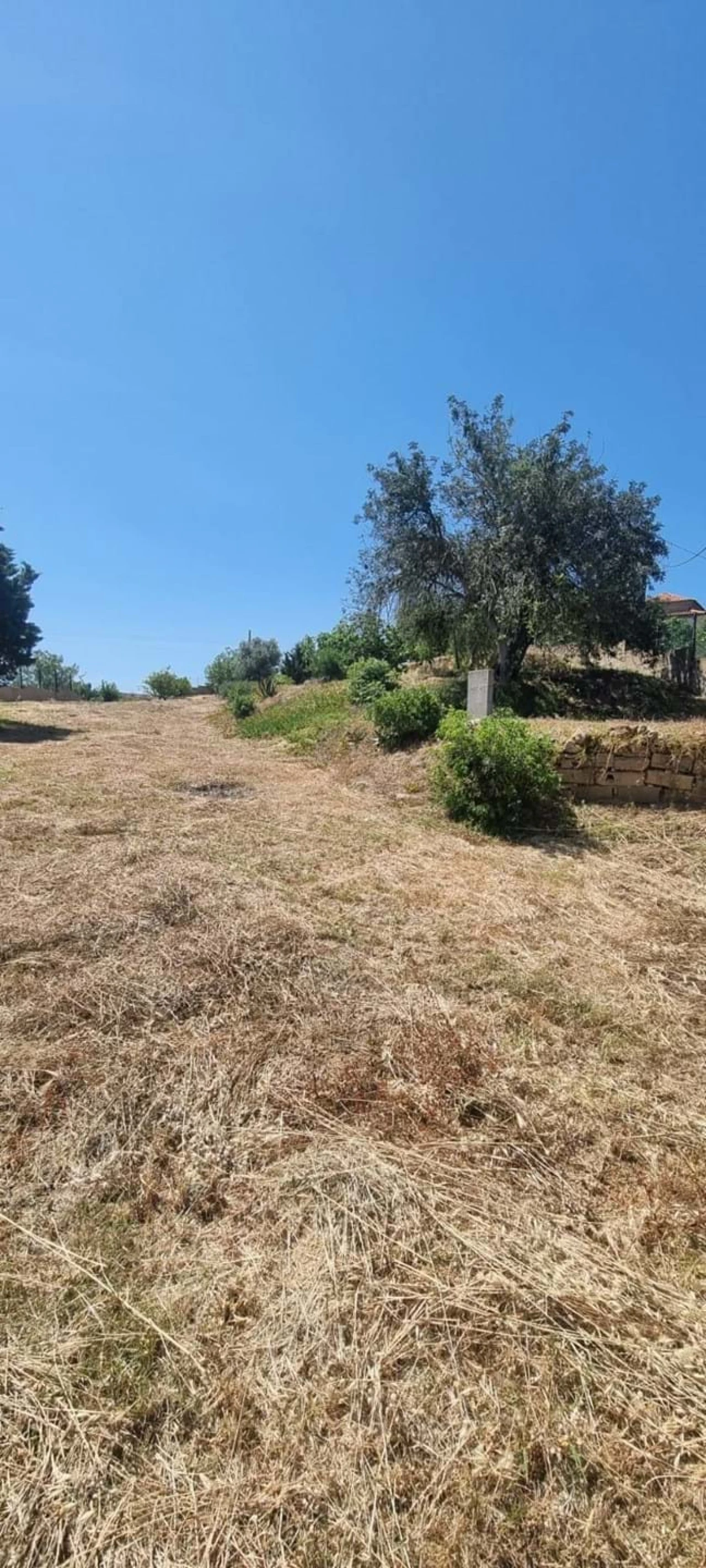 Terreno para Venda em Estômbar e Parchal Foto 10