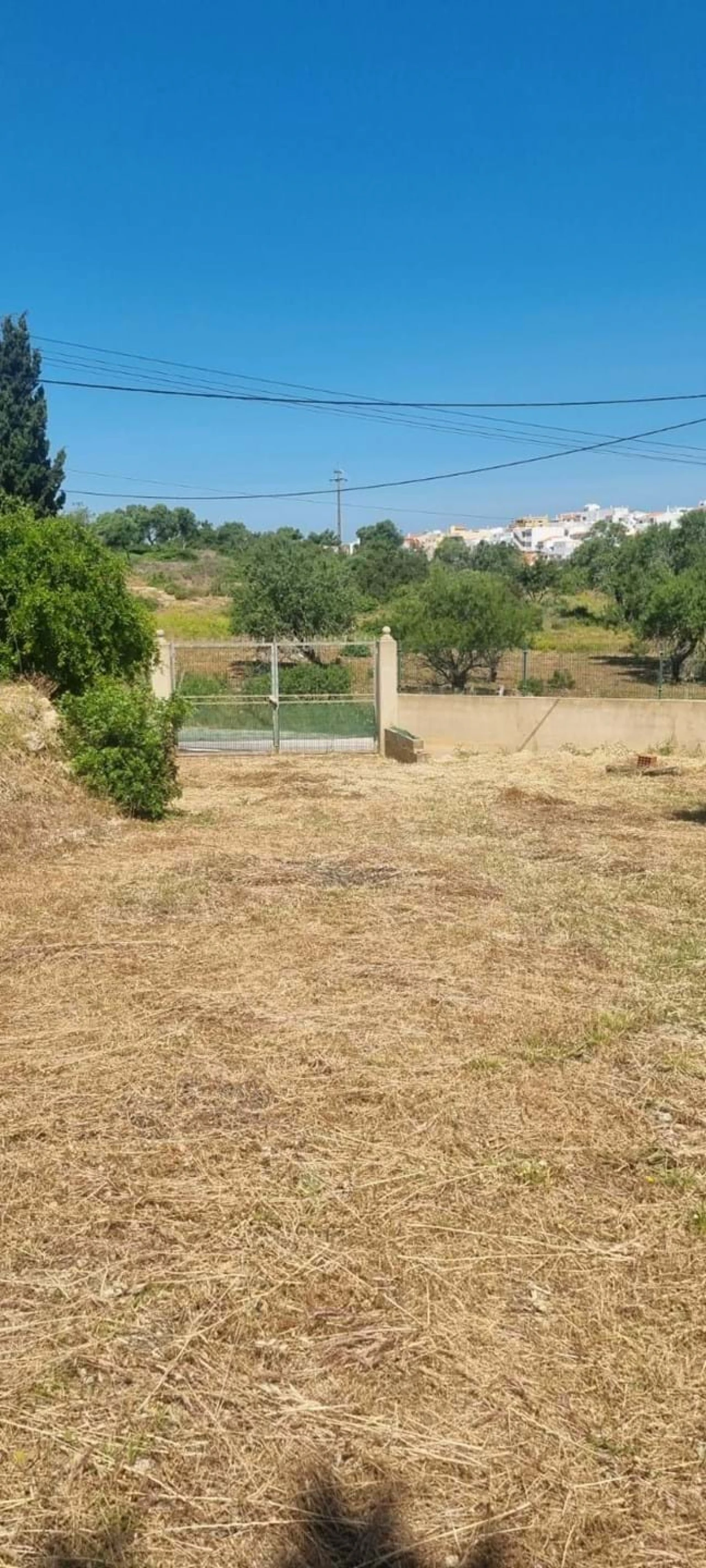 Terreno para Venda em Estômbar e Parchal Foto 9