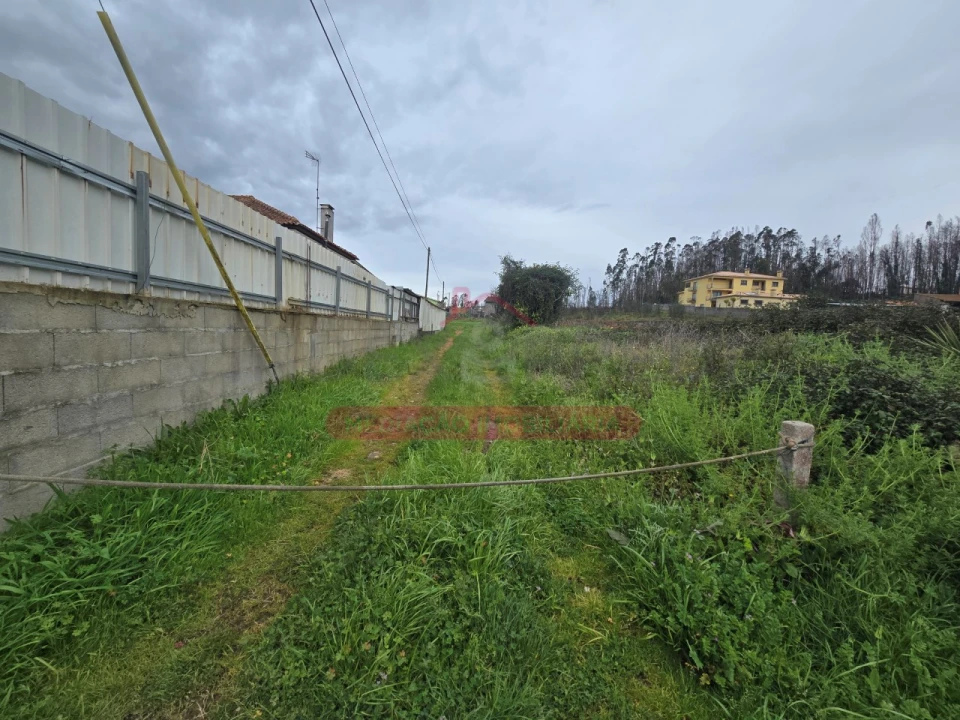 Terreno para Venda em Valongo do Vouga Foto 3