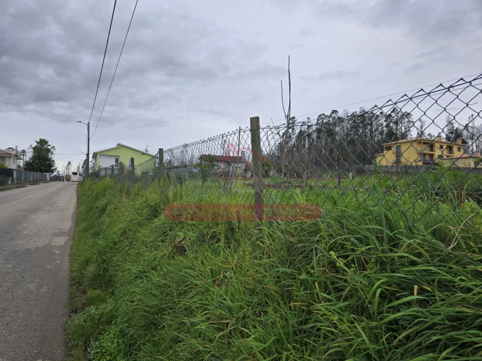 Terreno para Venda em Valongo do Vouga Foto 6