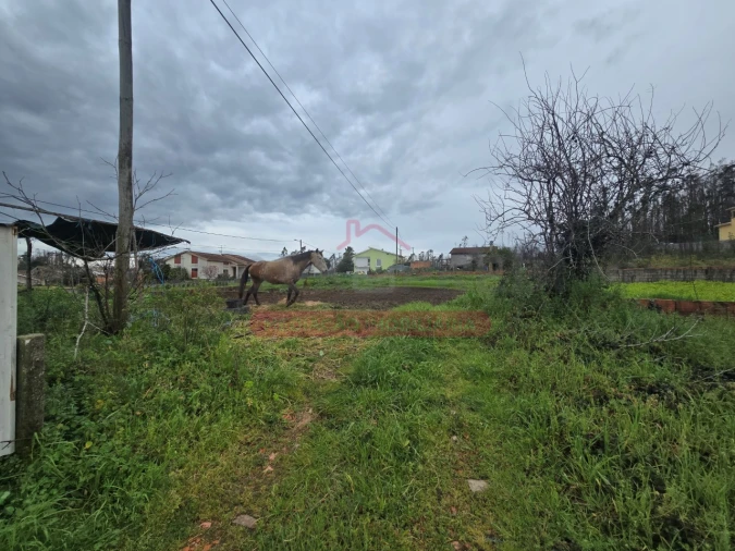 Terreno para Venda em Valongo do Vouga Foto 2