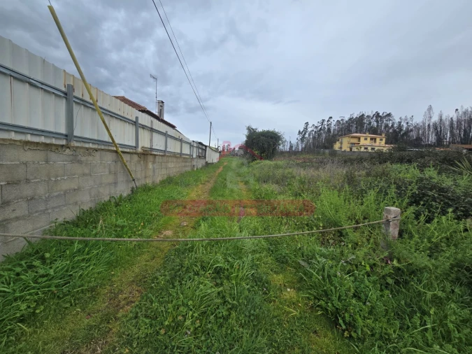 Terreno para Venda em Valongo do Vouga Foto 3
