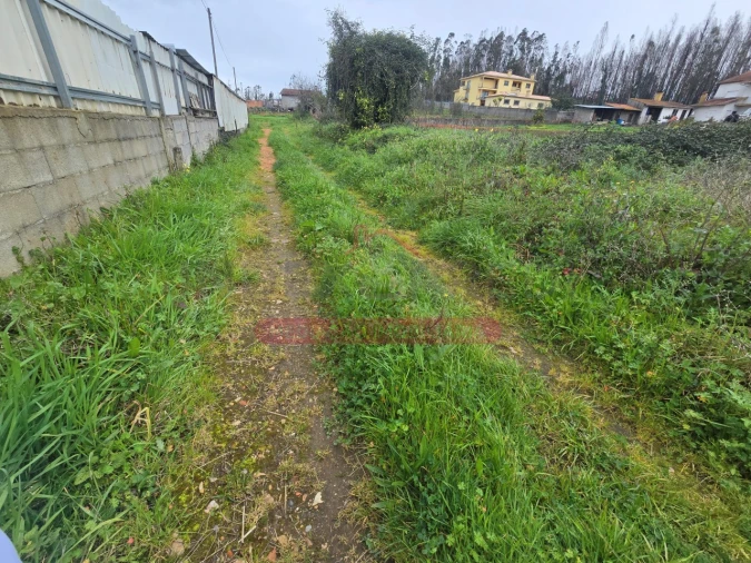 Terreno para Venda em Valongo do Vouga Foto 4
