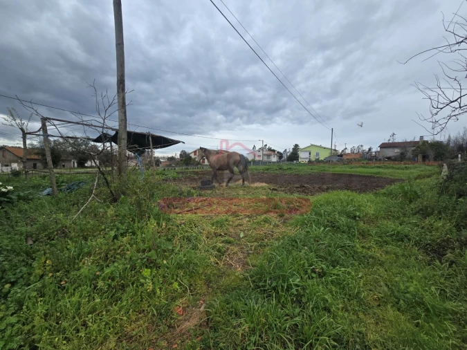 Terreno para Venda em Valongo do Vouga Foto 5