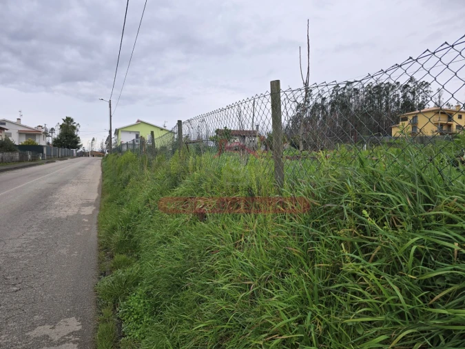 Terreno para Venda em Valongo do Vouga Foto 7