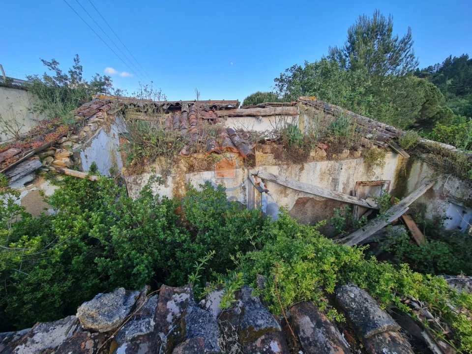 Moradia T1 para Venda em Santa Maria, São Pedro e Matacães Foto 3