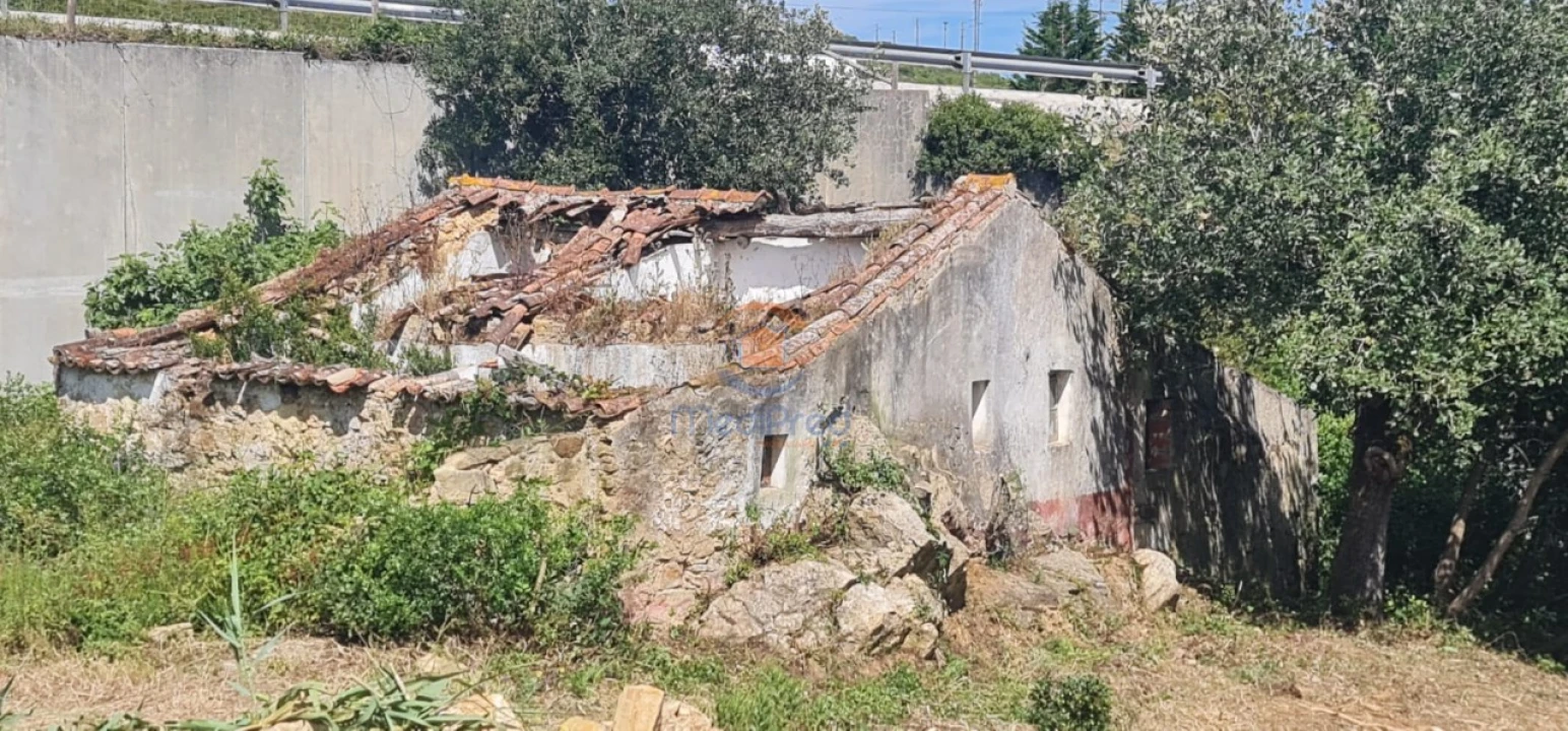 Moradia T1 para Venda em Santa Maria, São Pedro e Matacães Foto 5