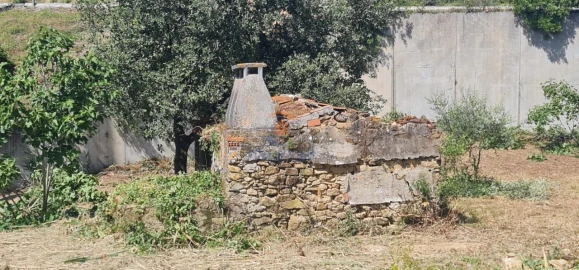 Moradia T1 para Venda em Santa Maria, São Pedro e Matacães