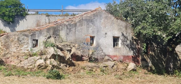 Moradia T1 para Venda em Santa Maria, São Pedro e Matacães