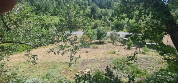 Moradia T1 para Venda em Santa Maria, São Pedro e Matacães