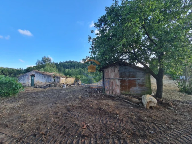Moradia T1 para Venda em Santa Maria, São Pedro e Matacães