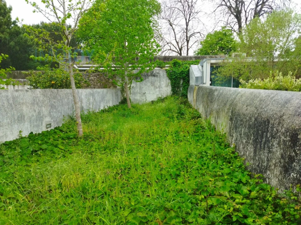 Prédio para Arrendamento em Cedofeita, Santo Ildefonso, Sé, Miragaia, São Nicolau e Vitória Foto 19