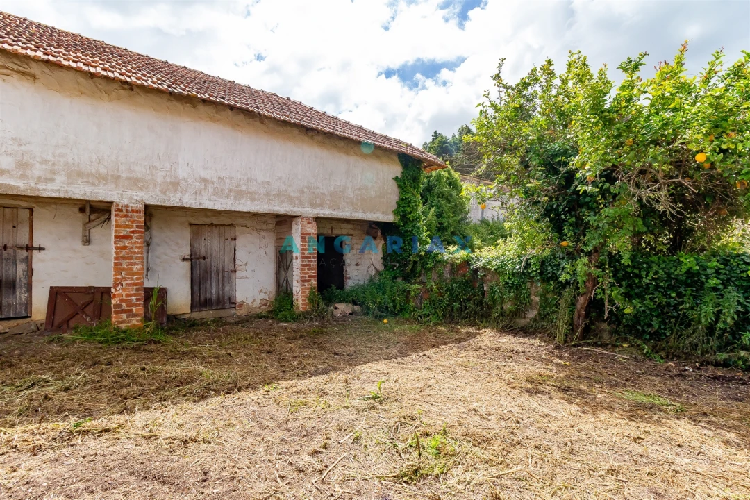 Quinta T5 para Venda em Batalha Foto 32