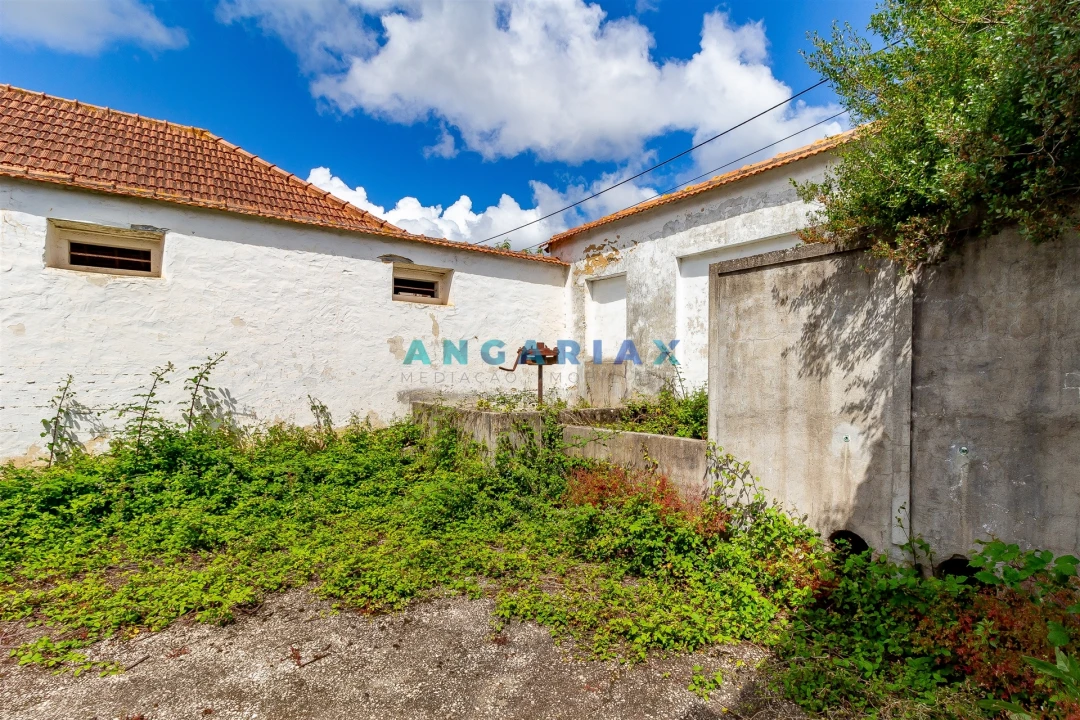 Quinta T5 para Venda em Batalha Foto 36