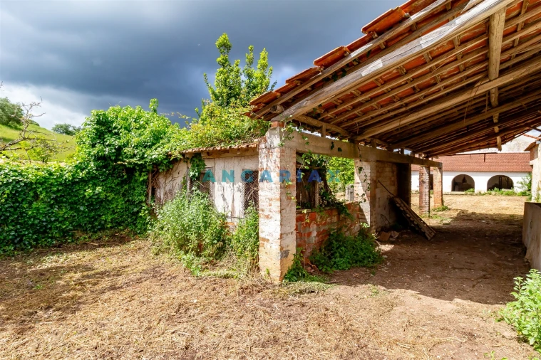 Quinta T5 para Venda em Batalha Foto 31