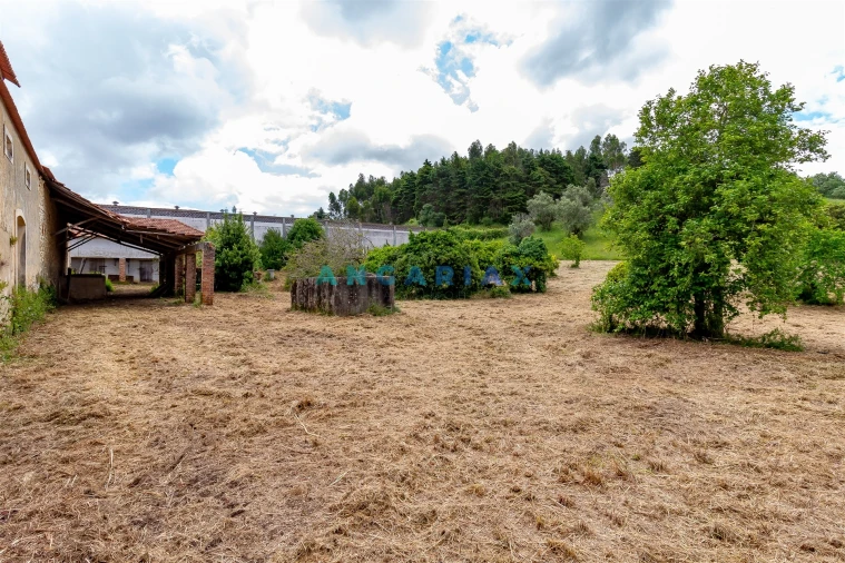 Quinta T5 para Venda em Batalha Foto 21