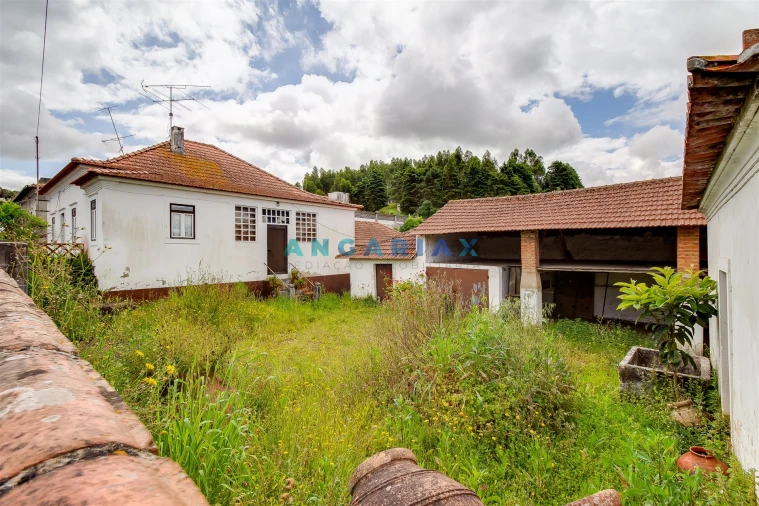 Quinta T5 para Venda em Batalha Foto 3