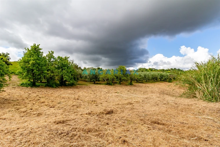 Quinta T5 para Venda em Batalha Foto 26