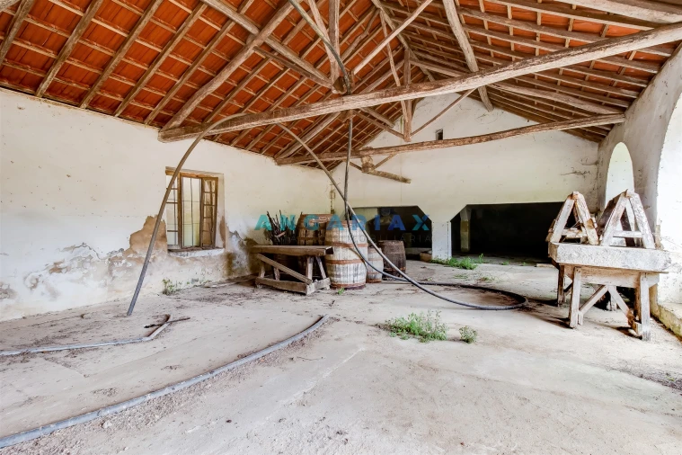 Quinta T5 para Venda em Batalha Foto 24