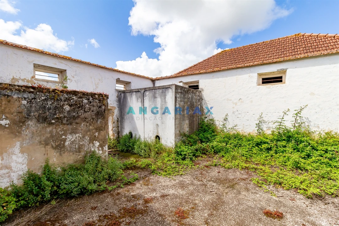 Quinta T5 para Venda em Batalha Foto 35