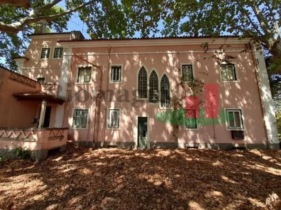 Quinta T5 para Venda em Tramagal Foto 6