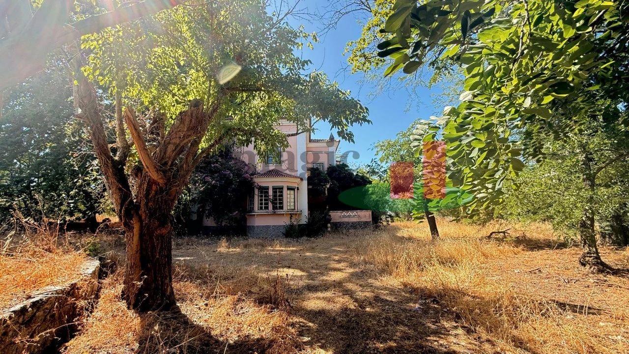 Quinta T5 para Venda em Tramagal Foto 30