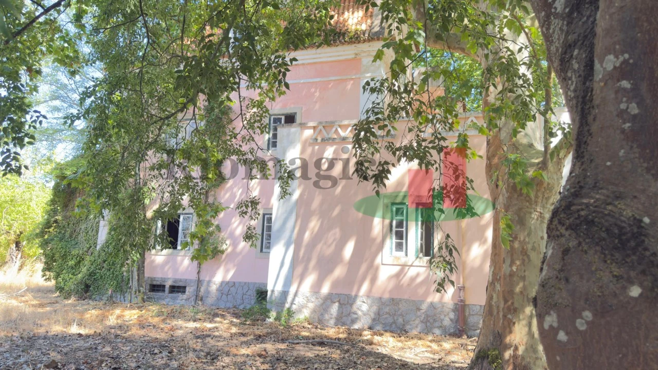 Quinta T5 para Venda em Tramagal Foto 42